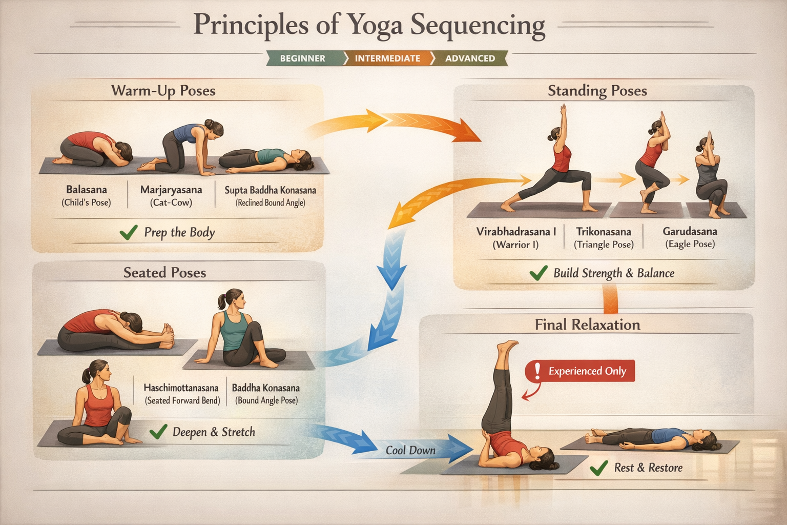 Detailed infographic illustration showing the fundamental principles of yoga sequencing with visual flow chart displaying warm-up poses tran